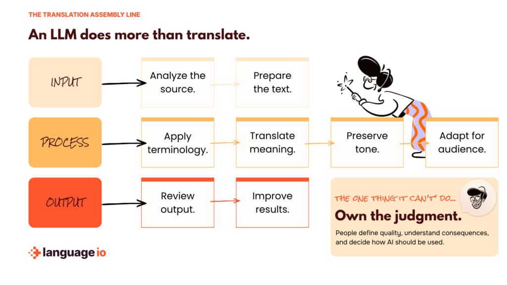 THE TRANSLATION ASSEMBLY LINE